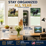 Black Labrador Retriever Wall Calendar 2027 - 12" x 12" Monthly Loyal Black Lab Sporting Breed Calendar