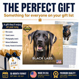 Black Labrador Retriever Wall Calendar 2027 - 12" x 12" Monthly Loyal Black Lab Sporting Breed Calendar