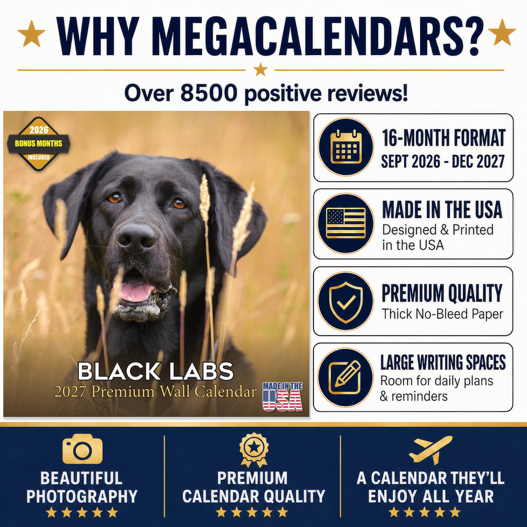 Black Labrador Retriever Wall Calendar 2027 - 12" x 12" Monthly Loyal Black Lab Sporting Breed Calendar