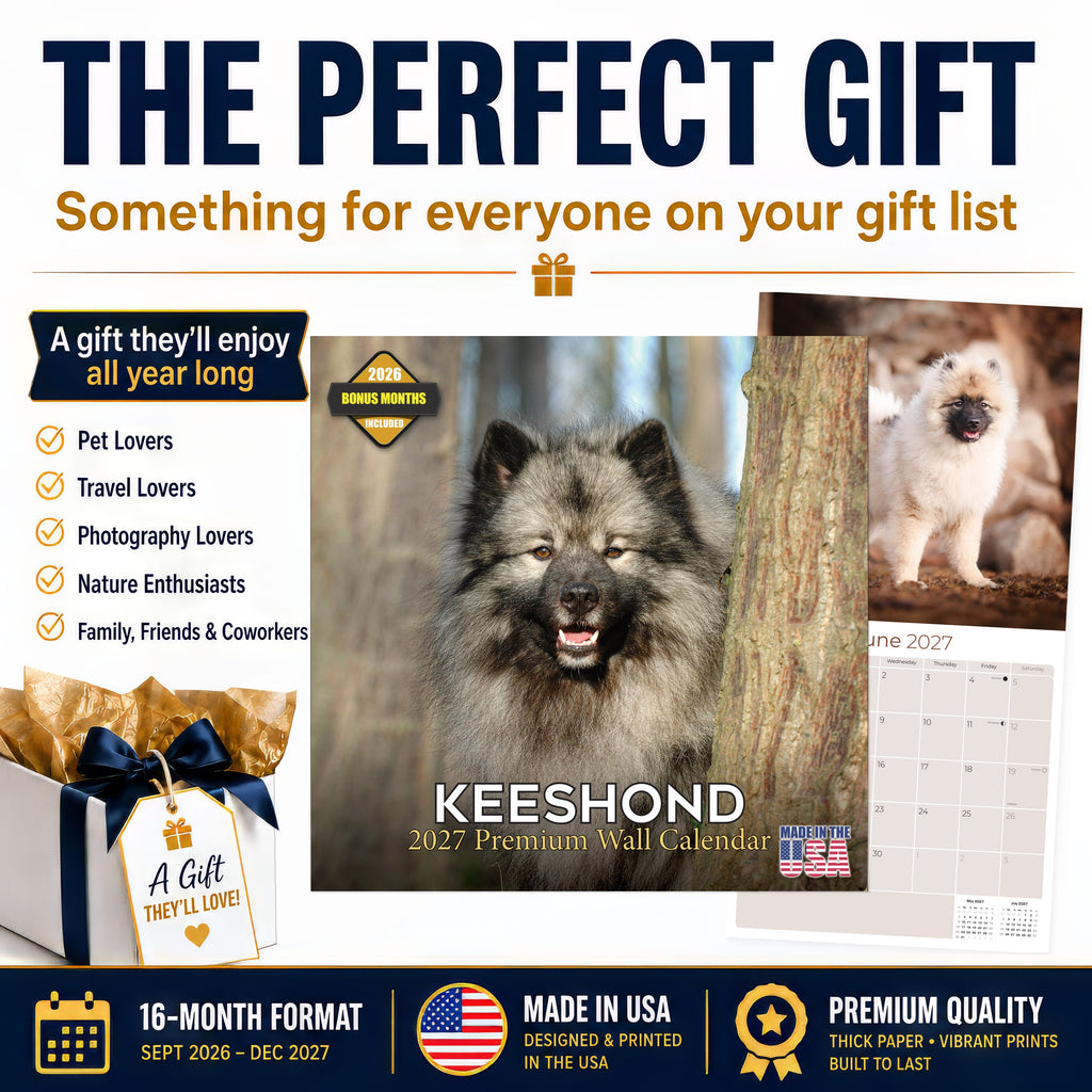 Keeshond Wall Calendar 2027 - 12" x 12" Monthly Plush Silver-Grey & Smiling Spitz Companion Calendar