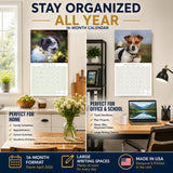 Jack Russell Wall Calendar 2027 - 12" x 12" Monthly Feisty & Spirited Working Terrier Breed Calendar