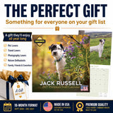 Jack Russell Wall Calendar 2027 - 12" x 12" Monthly Feisty & Spirited Working Terrier Breed Calendar