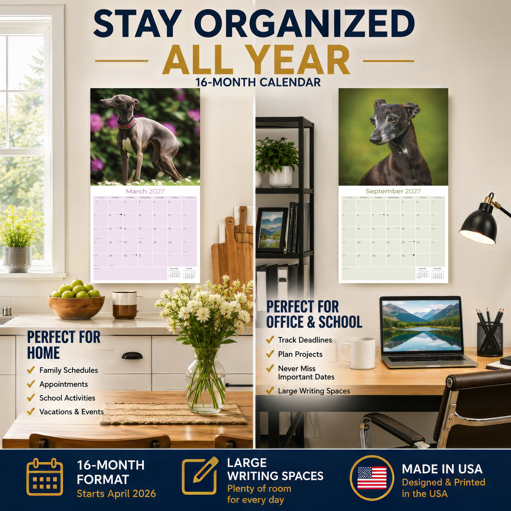 Italian Greyhound Wall Calendar 2027 - 12" x 12" Monthly Sleek Miniature & Graceful Sighthound Toy Calendar