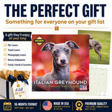 Italian Greyhound Wall Calendar 2027 - 12" x 12" Monthly Sleek Miniature & Graceful Sighthound Toy Calendar