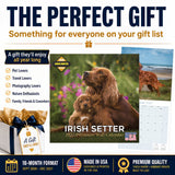 Irish Setter Wall Calendar 2027 - 12" x 12" Monthly Elegant Mahogany & Feathered Red Setter Gundog Calendar