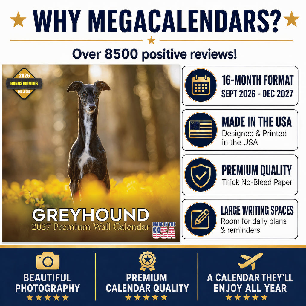 Greyhound Wall Calendar 2027 - 12" x 12" Monthly Sleek Aerodynamic Racing & Athletic Sighthound Calendar
