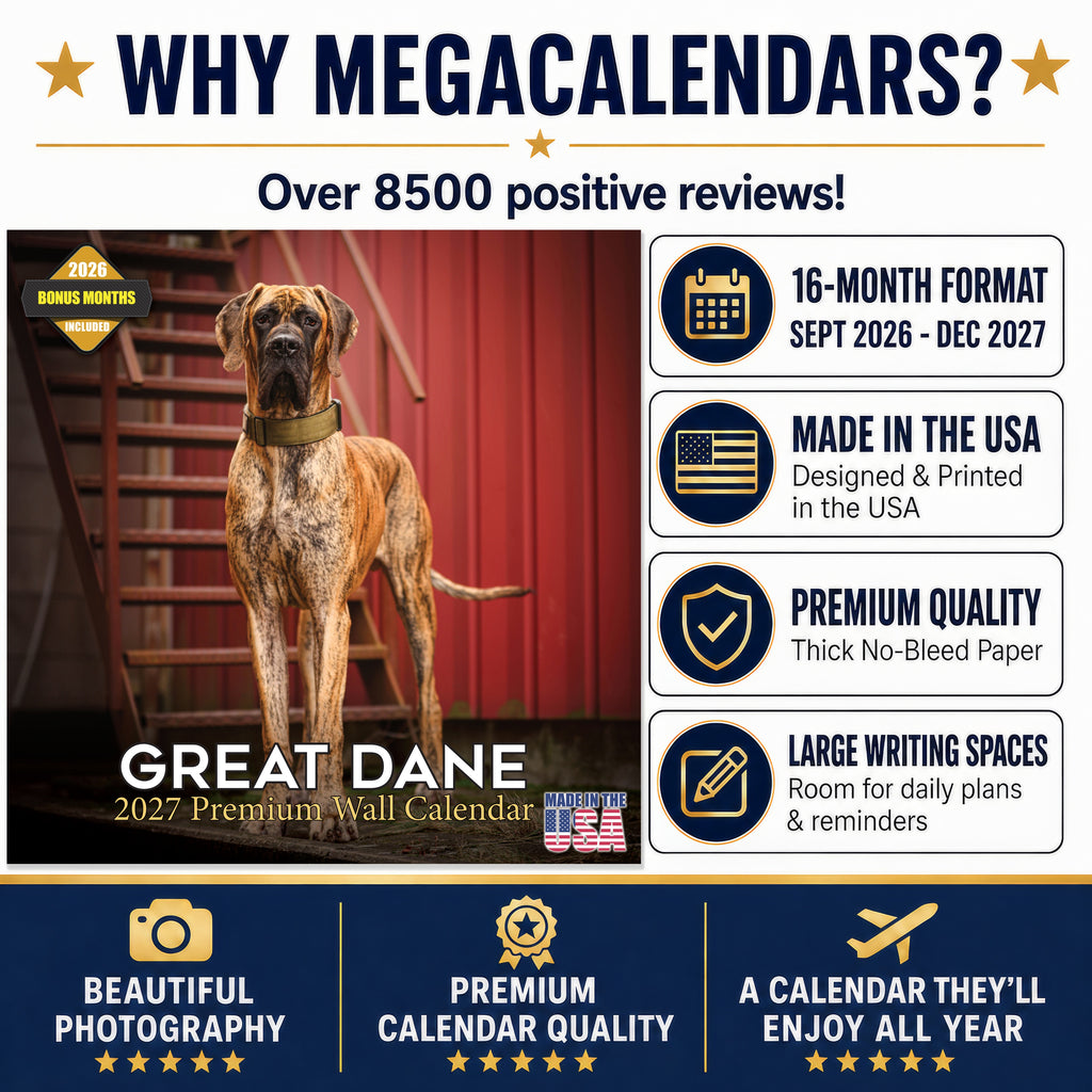 Great Dane Wall Calendar 2027 - 12" x 12" Monthly Noble Apollo of Dogs & Giant Dane Breed Calendar