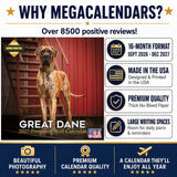 Great Dane Wall Calendar 2027 - 12" x 12" Monthly Noble Apollo of Dogs & Giant Dane Breed Calendar