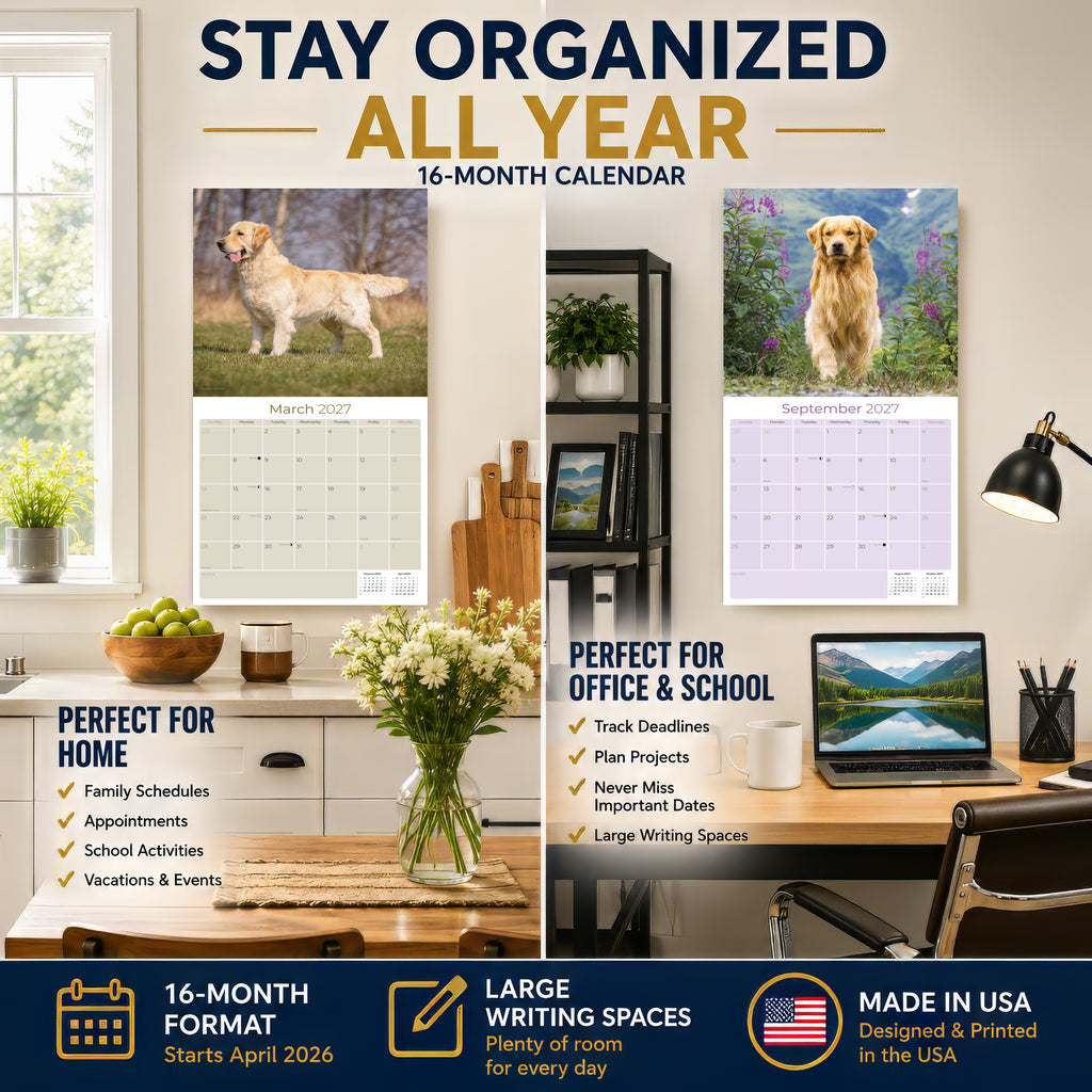 Golden Retriever Wall Calendar 2027 - 12" x 12" Monthly Friendly & Devoted Golden Lab Sporting Breed Calendar