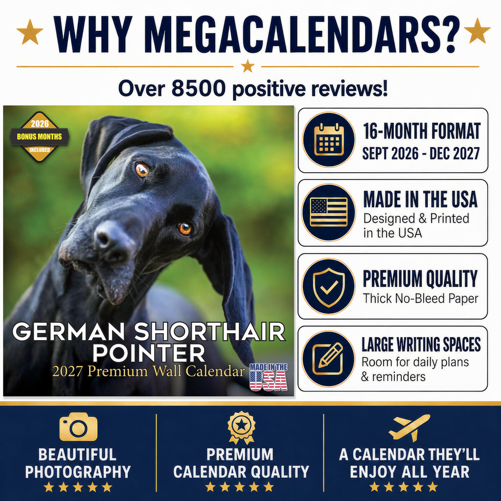 German Shorthaired Pointer Wall Calendar 2027 - 12" x 12" Monthly Athletic GSP Pointer & Liver Ticked Gundog Calendar