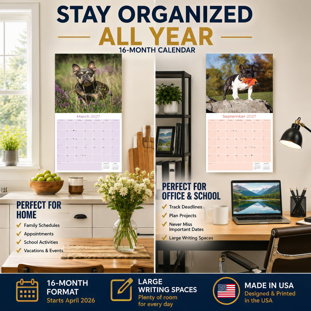 French Bulldog Wall Calendar 2027 - 12" x 12" Monthly Affectionate Frenchie & Bat-Eared Companion Dog Calendar