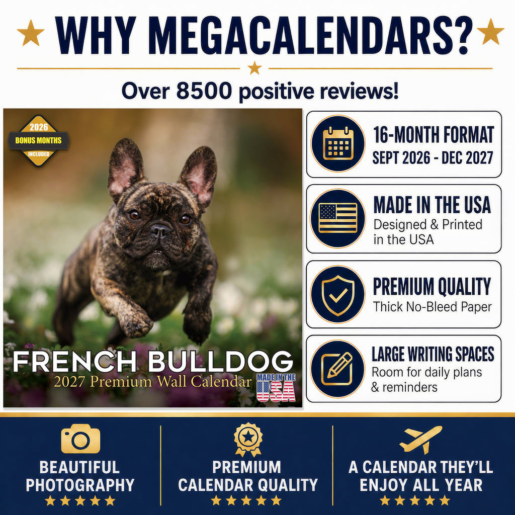 French Bulldog Wall Calendar 2027 - 12" x 12" Monthly Affectionate Frenchie & Bat-Eared Companion Dog Calendar