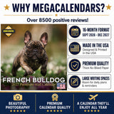 French Bulldog Wall Calendar 2027 - 12" x 12" Monthly Affectionate Frenchie & Bat-Eared Companion Dog Calendar