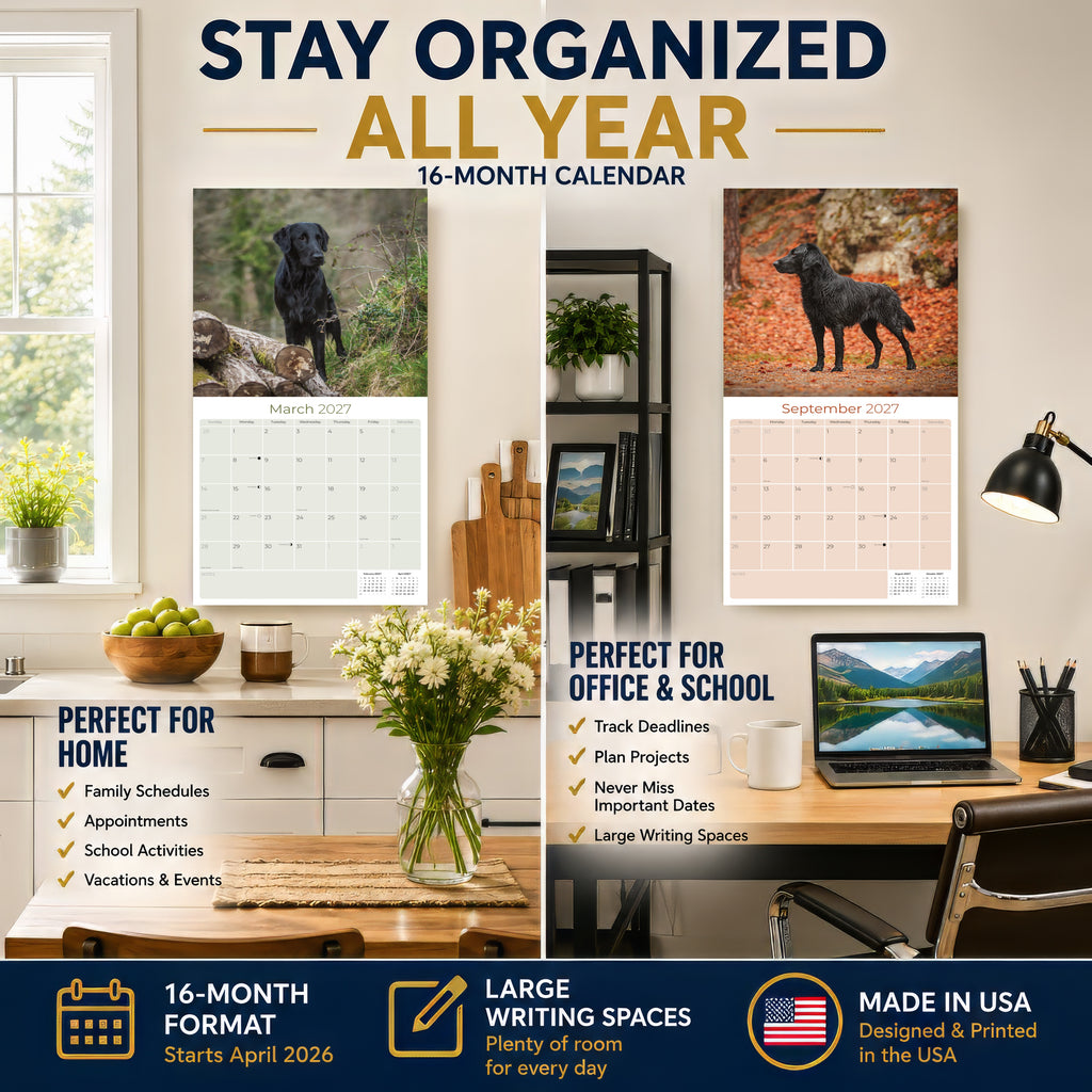 Flatcoated Retriever Wall Calendar 2027 - 12" x 12" Monthly Sleek Black Flattie Sporting Gundog Breed Calendar