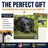 Flatcoated Retriever Wall Calendar 2027 - 12" x 12" Monthly Sleek Black Flattie Sporting Gundog Breed Calendar