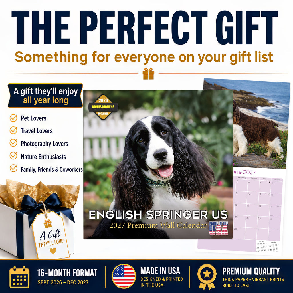 English Springer Spaniel (US) Wall Calendar 2027 - 12" x 12" Monthly Loyal American Springer Spaniel Gundog Breed Calendar