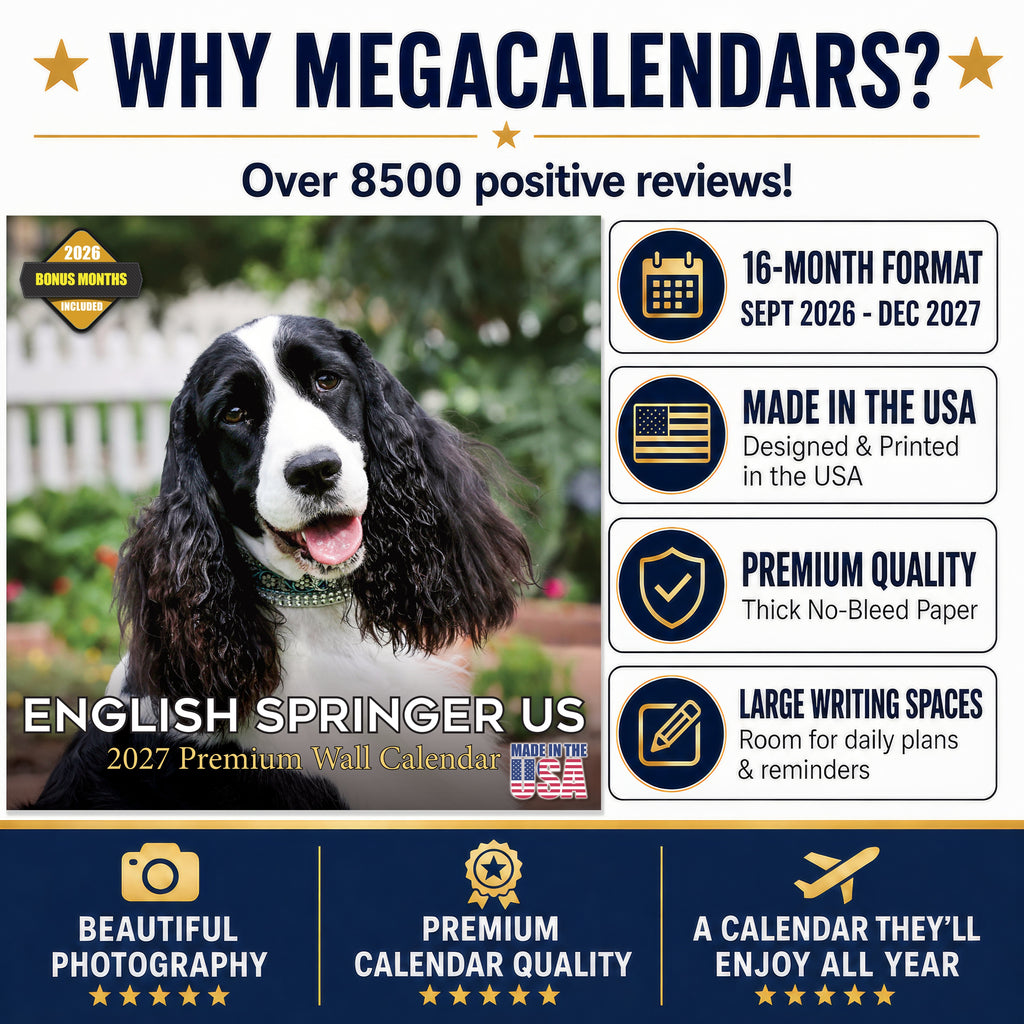 English Springer Spaniel (US) Wall Calendar 2027 - 12" x 12" Monthly Loyal American Springer Spaniel Gundog Breed Calendar