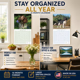 English Springer Spaniel (Euro) Wall Calendar 2027 - 12" x 12" Monthly Athletic European Springer Spaniel Field Dog Calendar