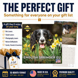 English Springer Spaniel (Euro) Wall Calendar 2027 - 12" x 12" Monthly Athletic European Springer Spaniel Field Dog Calendar