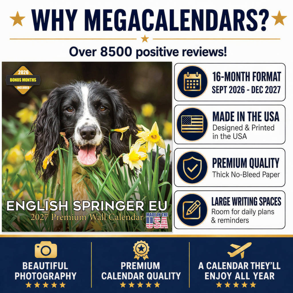 English Springer Spaniel (Euro) Wall Calendar 2027 - 12" x 12" Monthly Athletic European Springer Spaniel Field Dog Calendar