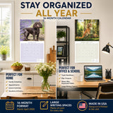 English Cocker Spaniel Wall Calendar 2027 - 12" x 12" Monthly Elegant English Cocker & Long-Eared Gundog Calendar
