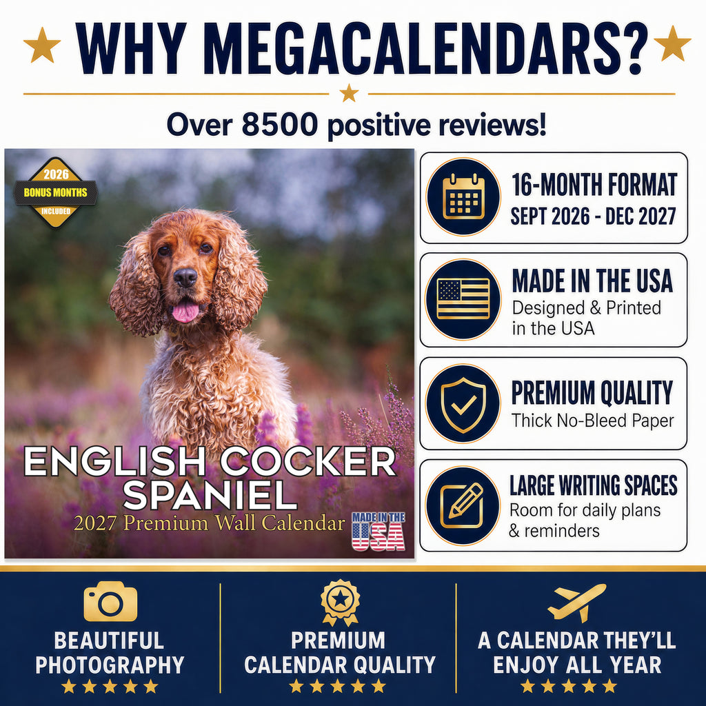 English Cocker Spaniel Wall Calendar 2027 - 12" x 12" Monthly Elegant English Cocker & Long-Eared Gundog Calendar