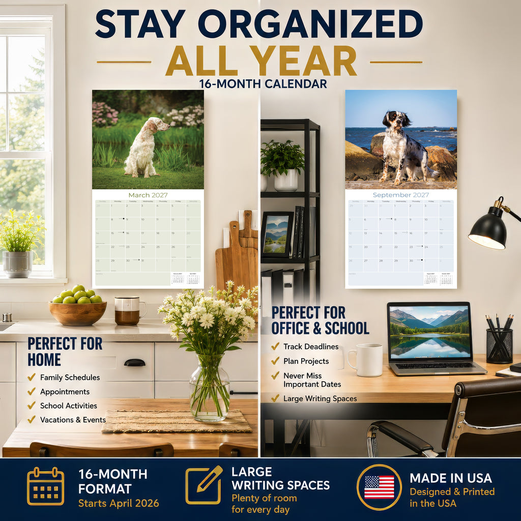 English Setter Wall Calendar 2027 - 12" x 12" Monthly Elegant Feathered Belton & English Setter Gundog Calendar