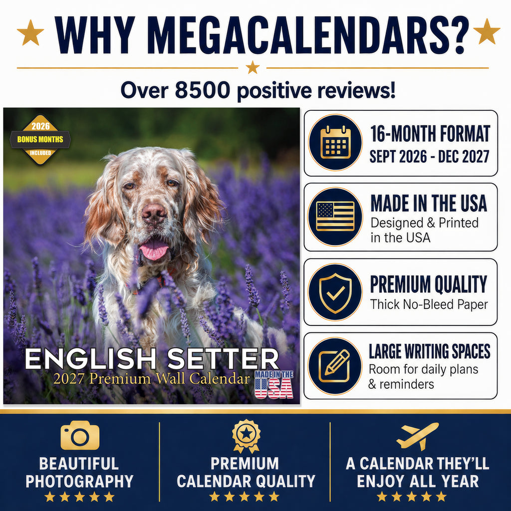 English Setter Wall Calendar 2027 - 12" x 12" Monthly Elegant Feathered Belton & English Setter Gundog Calendar