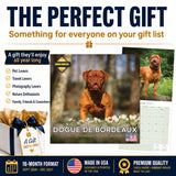 Dogue de Bordeaux Wall Calendar 2027 - 12" x 12" Monthly Powerful French Mastiff & Wrinkled Bordeaux Dog Calendar
