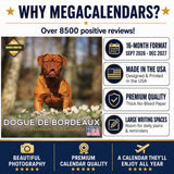 Dogue de Bordeaux Wall Calendar 2027 - 12" x 12" Monthly Powerful French Mastiff & Wrinkled Bordeaux Dog Calendar