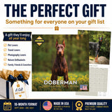 Doberman (US) Wall Calendar 2027 - 12" x 12" Monthly Sleek Guard Dog & Athletic Pinscher Breed Calendar