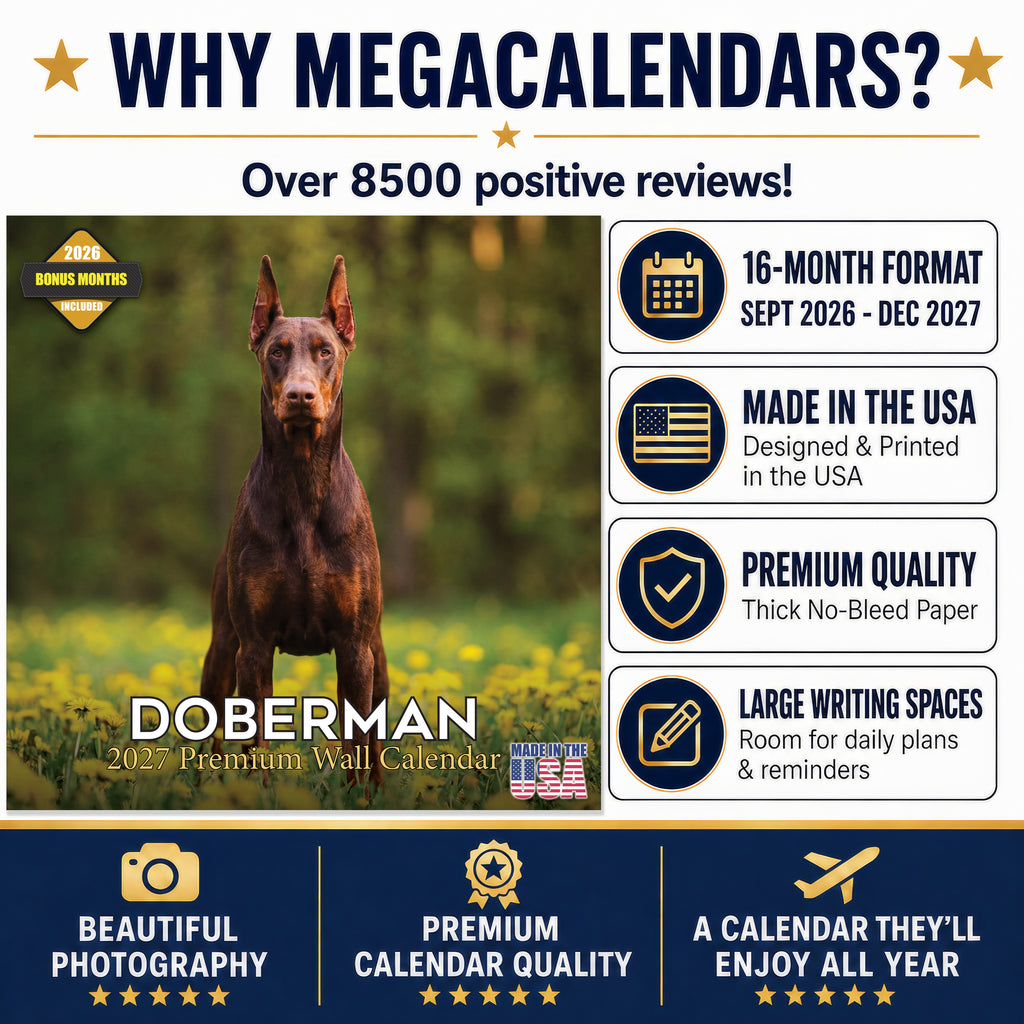 Doberman (US) Wall Calendar 2027 - 12" x 12" Monthly Sleek Guard Dog & Athletic Pinscher Breed Calendar