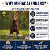 Doberman (US) Wall Calendar 2027 - 12" x 12" Monthly Sleek Guard Dog & Athletic Pinscher Breed Calendar