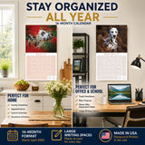 Dalmatian Wall Calendar 2027 - 12" x 12" Monthly Sleek Spotted Coach & Firehouse Dog Breed Calendar