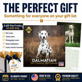 Dalmatian Wall Calendar 2027 - 12" x 12" Monthly Sleek Spotted Coach & Firehouse Dog Breed Calendar