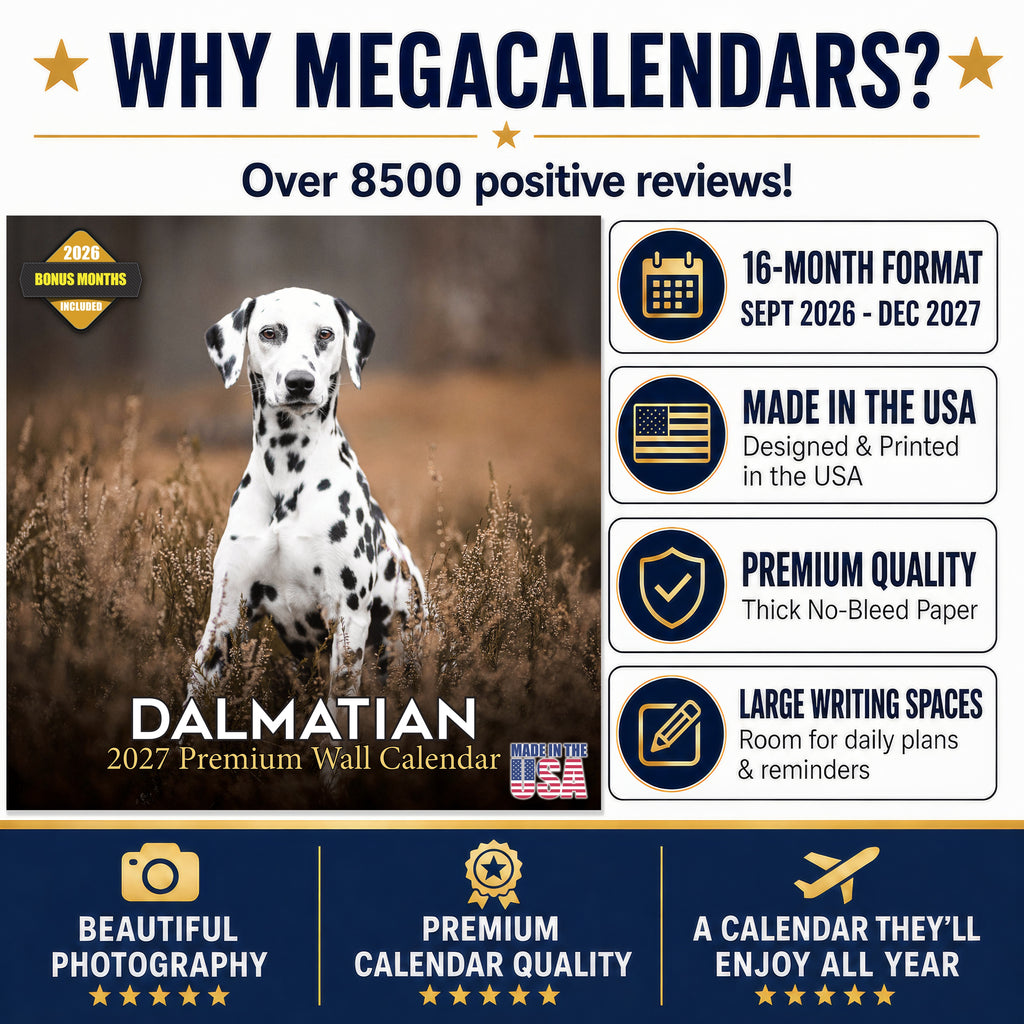 Dalmatian Wall Calendar 2027 - 12" x 12" Monthly Sleek Spotted Coach & Firehouse Dog Breed Calendar