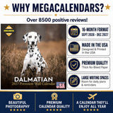 Dalmatian Wall Calendar 2027 - 12" x 12" Monthly Sleek Spotted Coach & Firehouse Dog Breed Calendar