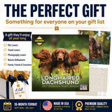 Longhaired Dachshund Wall Calendar 2027 - 12" x 12" Monthly Silky Low-Slung Hound & Elegant Badger Dog Calendar