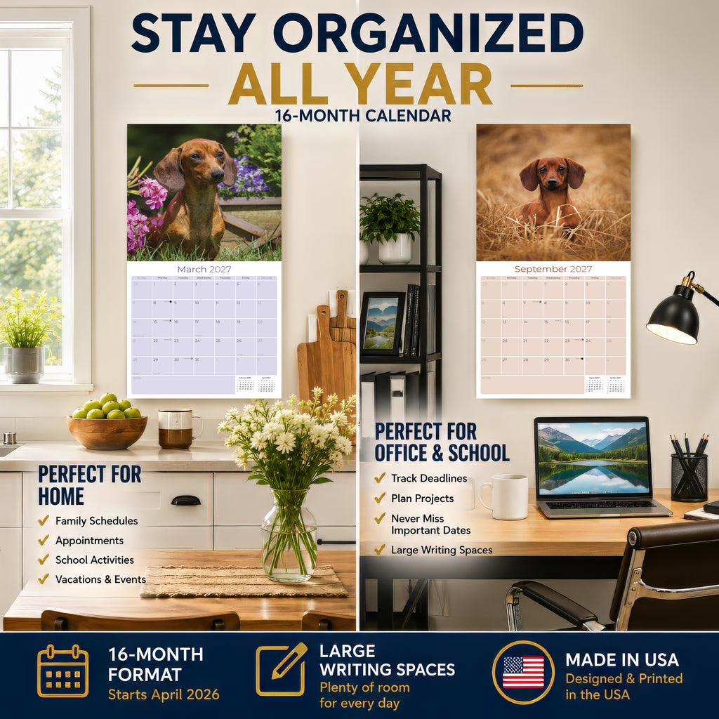 Dachshund Wall Calendar 2027 - 12" x 12" Monthly Clever Smooth & Long Badger Hound Dog Breed Calendar