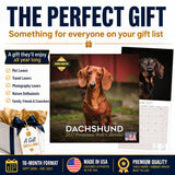 Dachshund Wall Calendar 2027 - 12" x 12" Monthly Clever Smooth & Long Badger Hound Dog Breed Calendar