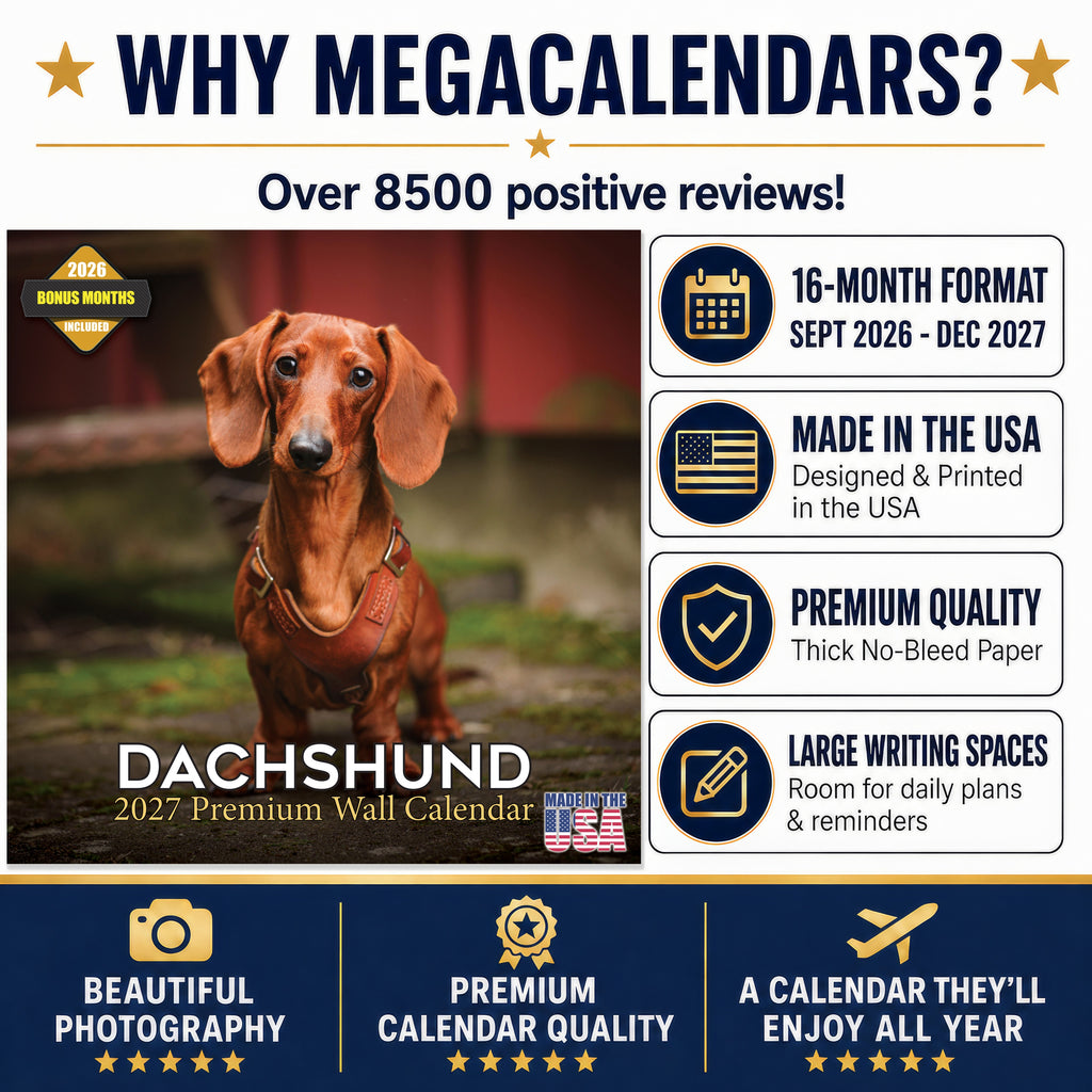 Dachshund Wall Calendar 2027 - 12" x 12" Monthly Clever Smooth & Long Badger Hound Dog Breed Calendar
