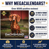 Dachshund Wall Calendar 2027 - 12" x 12" Monthly Clever Smooth & Long Badger Hound Dog Breed Calendar