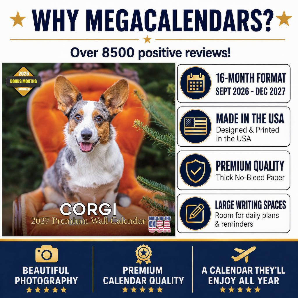 Corgi Wall Calendar 2027 - 12" x 12" Monthly Playful Pembroke & Cardigan Welsh Corgi Herding Calendar