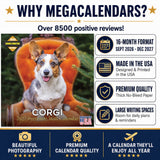 Corgi Wall Calendar 2027 - 12" x 12" Monthly Playful Pembroke & Cardigan Welsh Corgi Herding Calendar