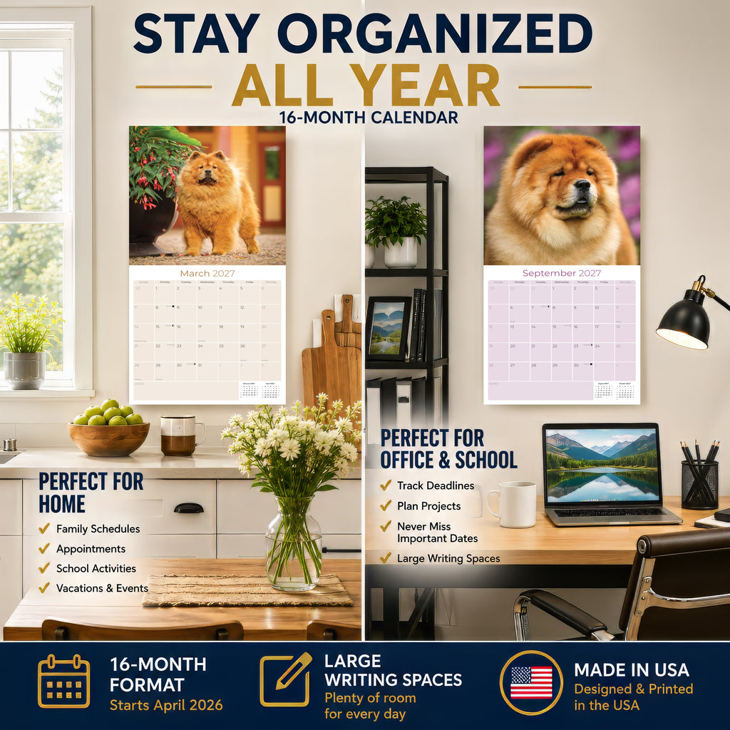 Chow Chow Wall Calendar 2027 - 12" x 12" Monthly Dignified & Proud Chow Chow Dog Breed Calendar