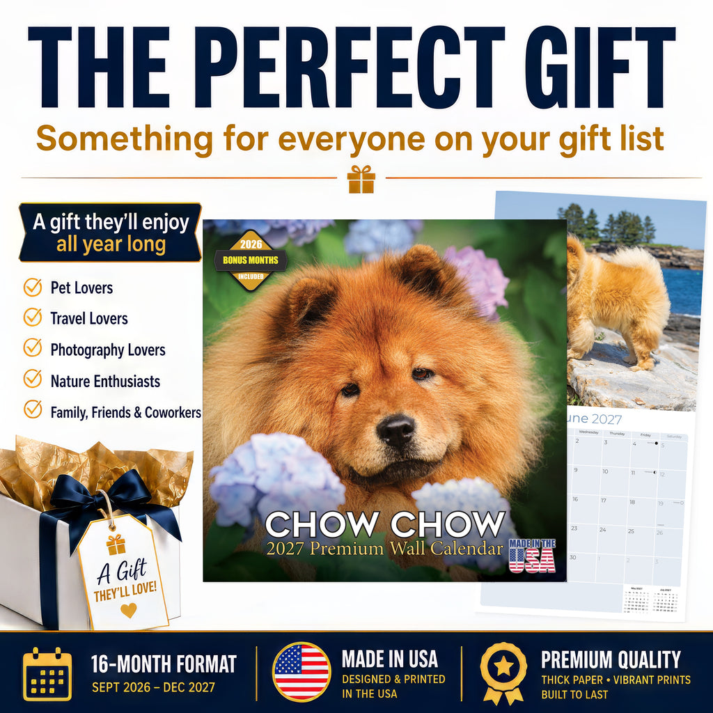 Chow Chow Wall Calendar 2027 - 12" x 12" Monthly Dignified & Proud Chow Chow Dog Breed Calendar