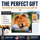 Chow Chow Wall Calendar 2027 - 12" x 12" Monthly Dignified & Proud Chow Chow Dog Breed Calendar