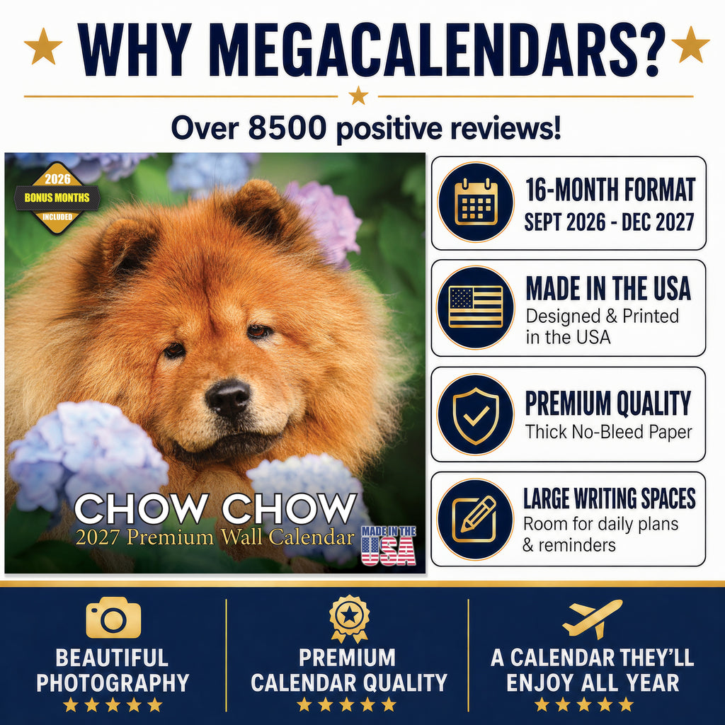 Chow Chow Wall Calendar 2027 - 12" x 12" Monthly Dignified & Proud Chow Chow Dog Breed Calendar