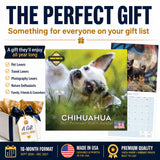 Chihuahua Wall Calendar 2027 - 12" x 12" Monthly Sassy Tiny Toy Dog Breed Calendar