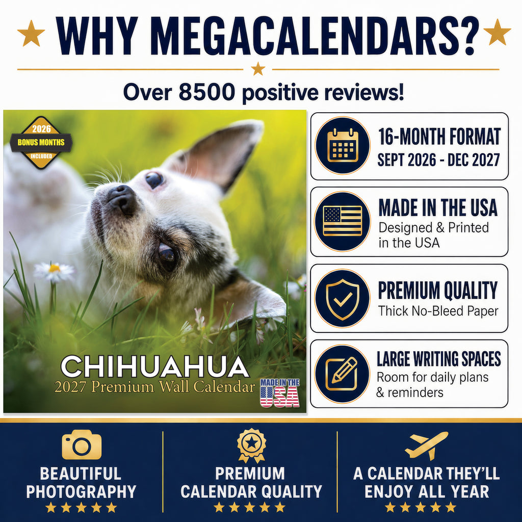 Chihuahua Wall Calendar 2027 - 12" x 12" Monthly Sassy Tiny Toy Dog Breed Calendar